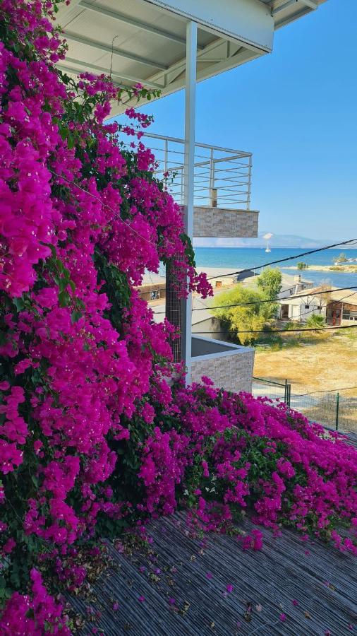 Begonvil Otel Cesme Ngoại thất bức ảnh